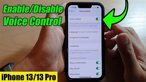 How do I disable Voice control notifications? I get one after every single phone call r/ios