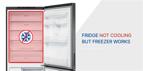 Freezer Is Cold But Refrigerator is Warm What To Check To Fix?