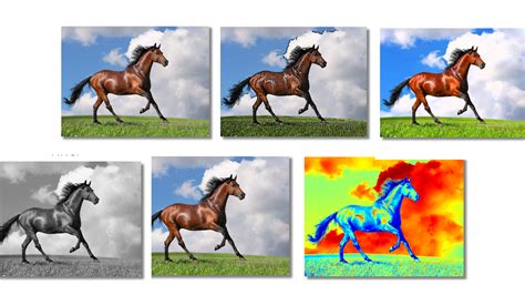 How do I mask an image in OpenCV Python?