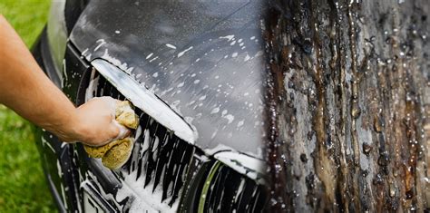 How to Remove Bugs, Tar, and Sap from Your Car A Full Guide