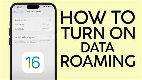 How to Enable Data Roaming on an iPhone 5 Steps (with Pictures)