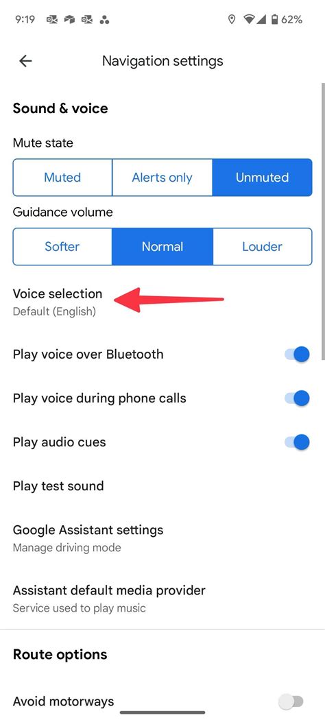 How to Change the Google Maps Voice on Android 8 Steps