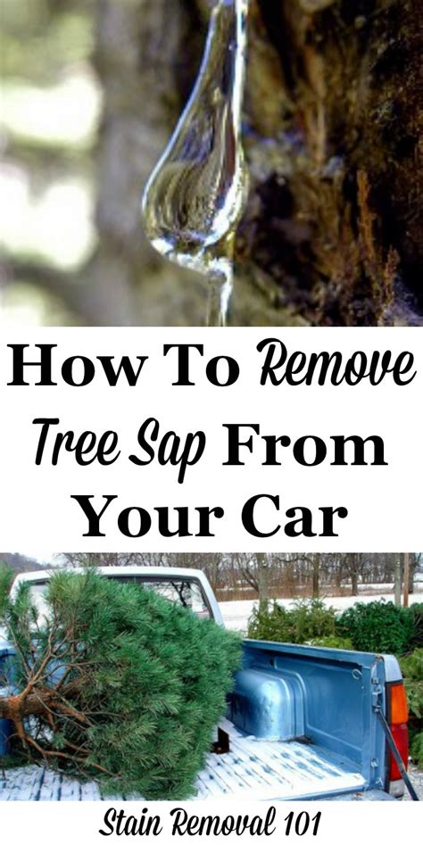 How to Safely Remove Tree Sap from Your Car YouTube
