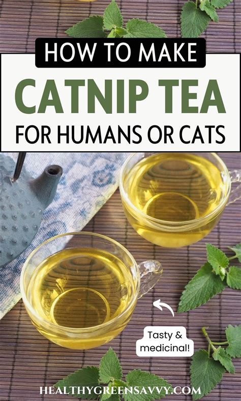 Catnip Tea An Easy Herbal Tea from the Garden Champagne Tastes®
