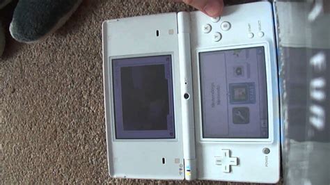 How To Reset Nintendogs Chihuahua and Friends? Here’s The Easy Way