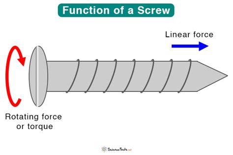 How does a screw work?