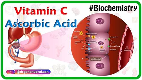 How does ascorbic acid dissolve?