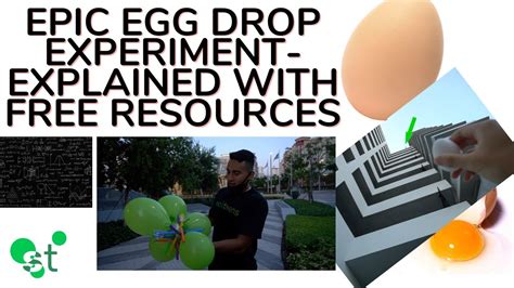 How does gravity affect an egg drop?