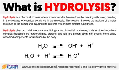 How does hydrolysis work?