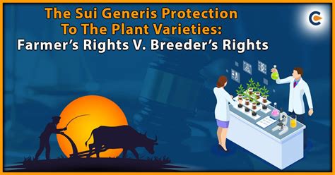 How does sui generis work?