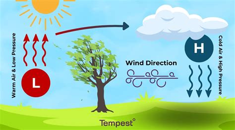 How does wind affect climate?