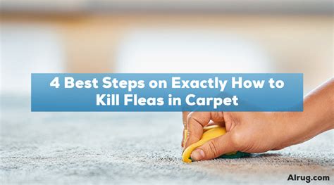 How To Kill Fleas In Carpet? 7 Easy Ways!