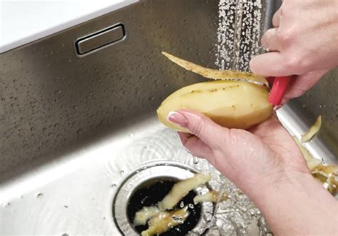 How Long Does A Badger 5 Garbage Disposal Last? Mr. Kitchen Faucets