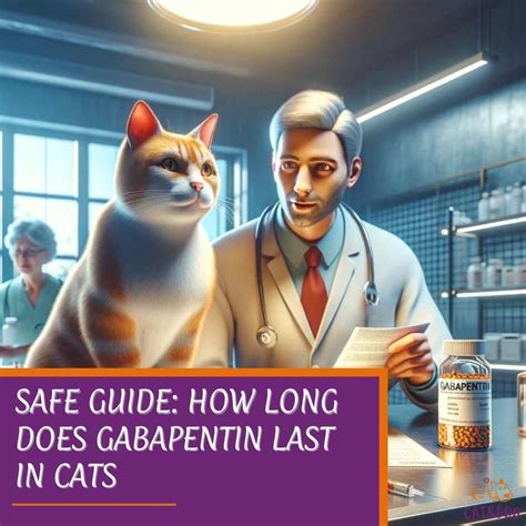 Safe Guide How Long Does Gabapentin Last In Cats