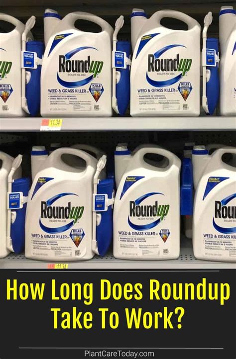 How Long Does Roundup Take to Work? Exploring the Pros and Cons The Enlightened Mindset