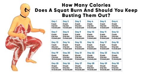 Squats calories, safe weight loss plans, 0 percent body fat healthy