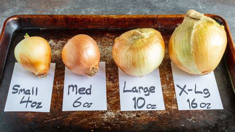 Onion Nutrition Calories, Carbs, Protein & Nutrition Facts Livofy