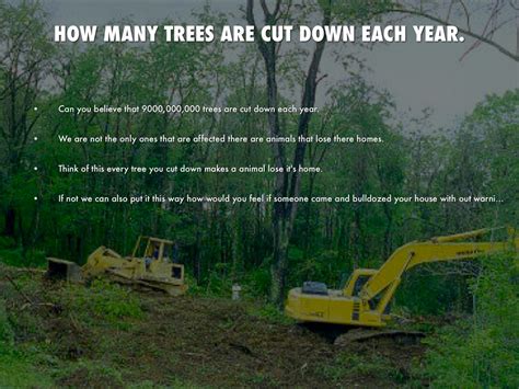 how many trees are cut down each year in the us Ensure The Effective History Image Library