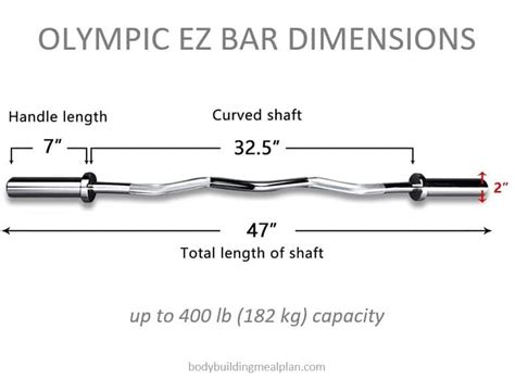 Curl Bar Weight By Type How Much Does Your Curl Bar Weigh?