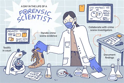 Forensic Scientist Salary YouTube