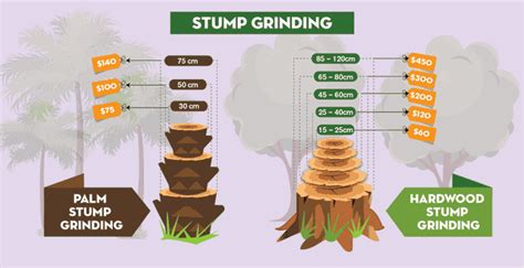 How Much Does a Tree Removal Cost?