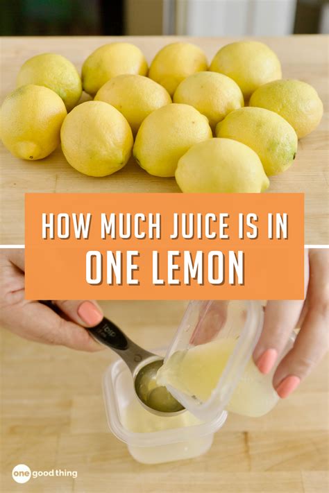 The Juice of One Lemon {How Much Is That?} One Hot Oven