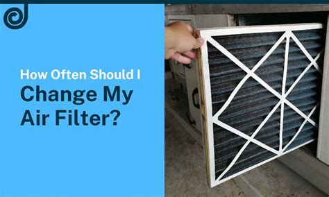 How Often Should You Change The Filter In A Vacuum at Elizabeth Hasty blog