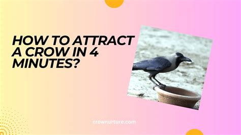Attract Birds With These SIMPLE Strategies [2021] Bird Watching HQ How to attract birds