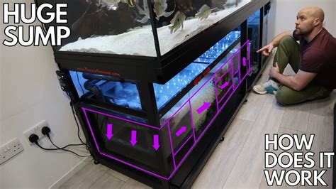 Building a Cheap DIY Reef Sump How to Build a Budget Reef Tank Sump MR BRIGHTFRYED YouTube