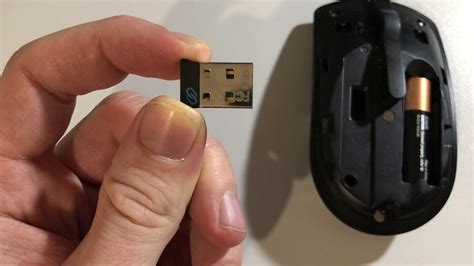DELL Wireless Mouse User Guide