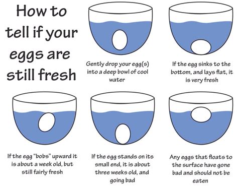 How To Tell If Eggs Are Still Good? 5 Easy Ways To Find Out If They