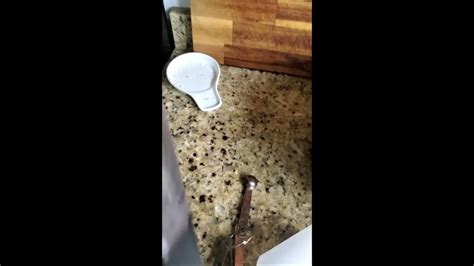 Cleaning hacks, tips, and advice for your Echo, Echo Show, & Echo Dot