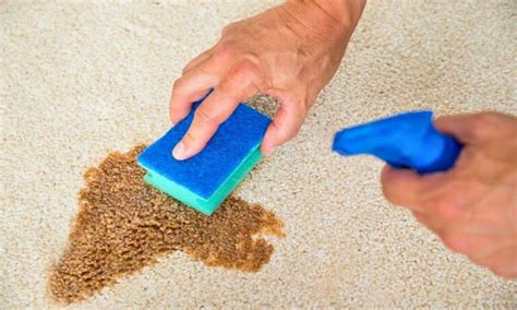 How to Clean Carpet Grease Stains Your Comprehensive Guide