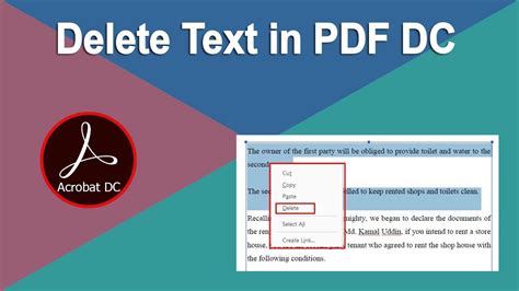 How to Delete Text from PDF Without any Complications A Standard Guide WPS PDF Blog