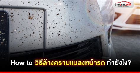 best & easy way to clean & remove dead bug from your car front bumper YouTube
