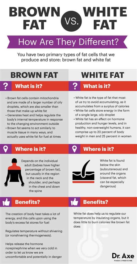 how to get higher brown fat