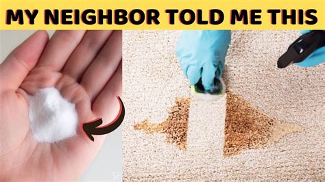 How to Clean Vomit Out of Carpet Like a Pro — Pro Housekeepers