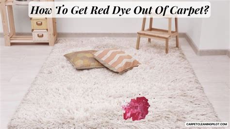How to Get Stains Out of Carpet Next Day Floors