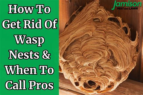 Learn how to keep wasps away with 16 tips and recipes to get rid of wasp nests naturally. Using