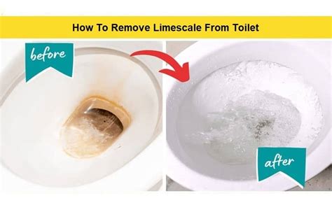 Does Vinegar Remove Limescale From Toilet at Donna Frazier blog