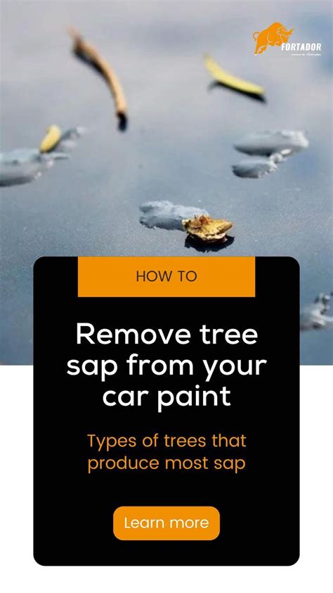 Car Sap Removal How to Get Tree Sap Off Your Car Without Damaging the Paint by Wiack Medium