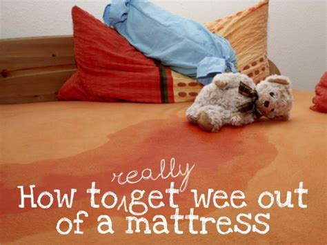 How to Get Pee Out of a Mattress in 5 Easy Steps