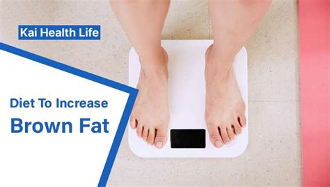 how to increase brown fat to lose weight