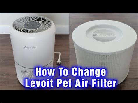 How To Replace Levoit Air Purifier Filter at Roger Campbell blog