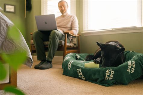 How to Keep a Dog Entertained While at Work Dog advice, Dog entertainment, Dogs