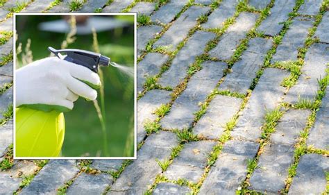 How to remove weeds from block paving Artofit