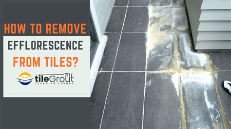 Is this mold or efflorescence? How to clean it? r/CleaningTips