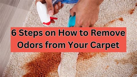 How to Remove Carpet Odors After Water Damage Learn 6 Steps