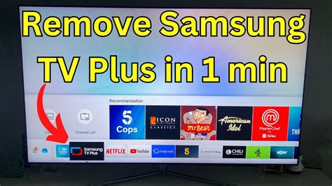 Solving the Samsung HDTV "PC Input is greyed out" Problem YouTube