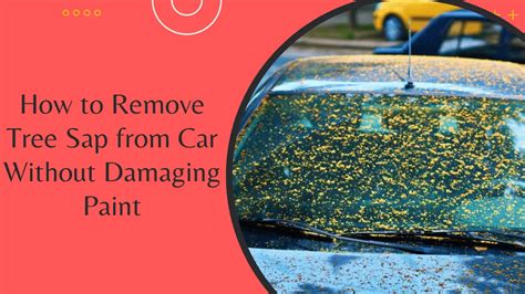 How to Remove Tree Sap from Car Without Damaging Paint